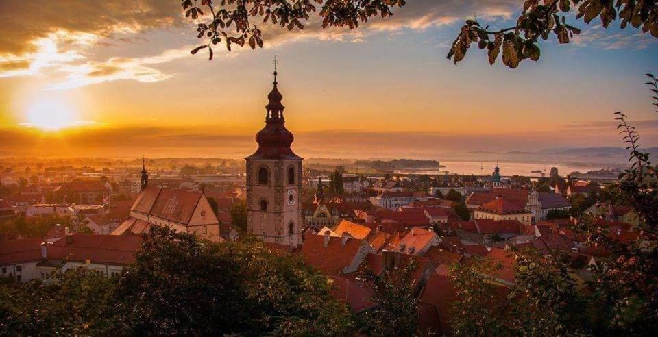 Hostel Sonce Ptuj Exteriör bild