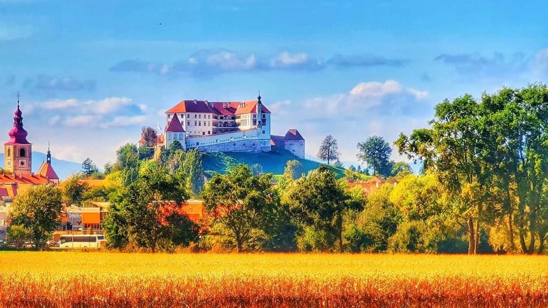 Hostel Sonce Ptuj Exteriör bild