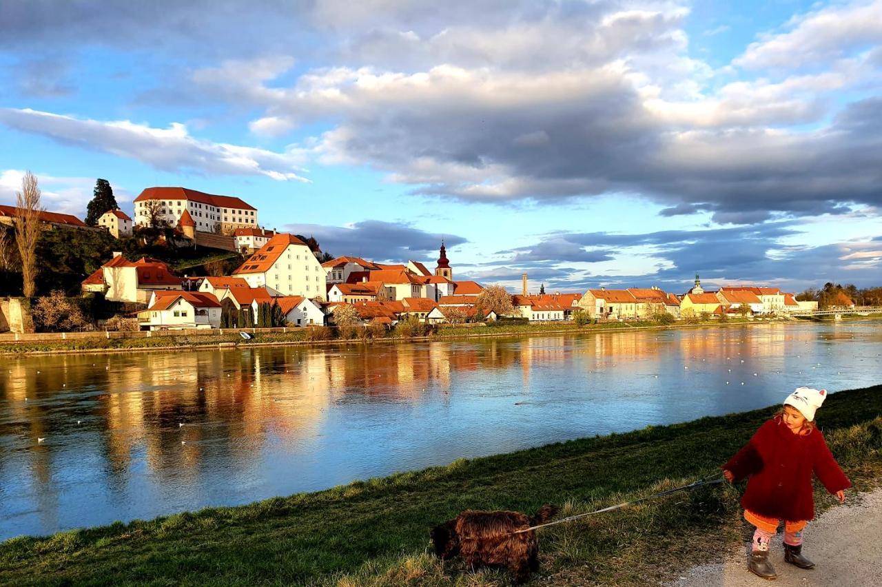 Hostel Sonce Ptuj Exteriör bild