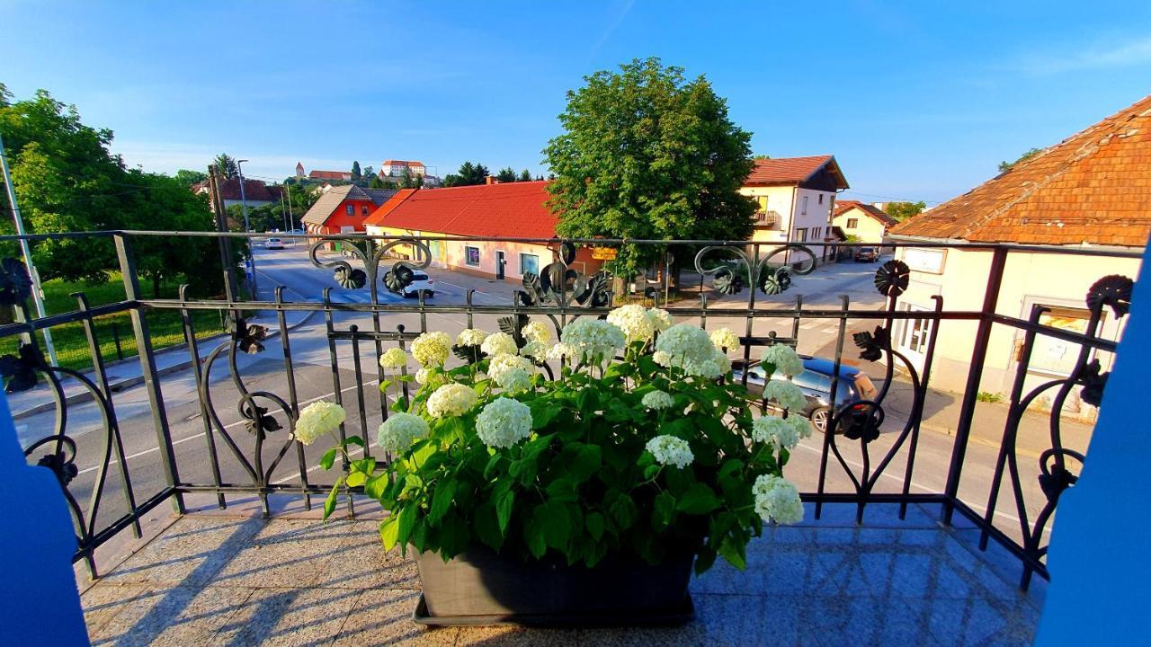 Hostel Sonce Ptuj Exteriör bild
