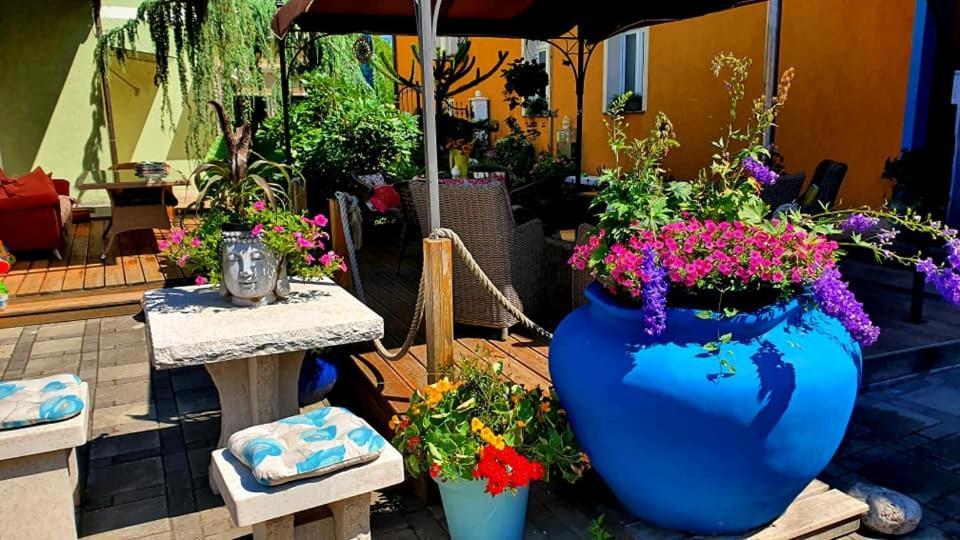 Hostel Sonce Ptuj Exteriör bild
